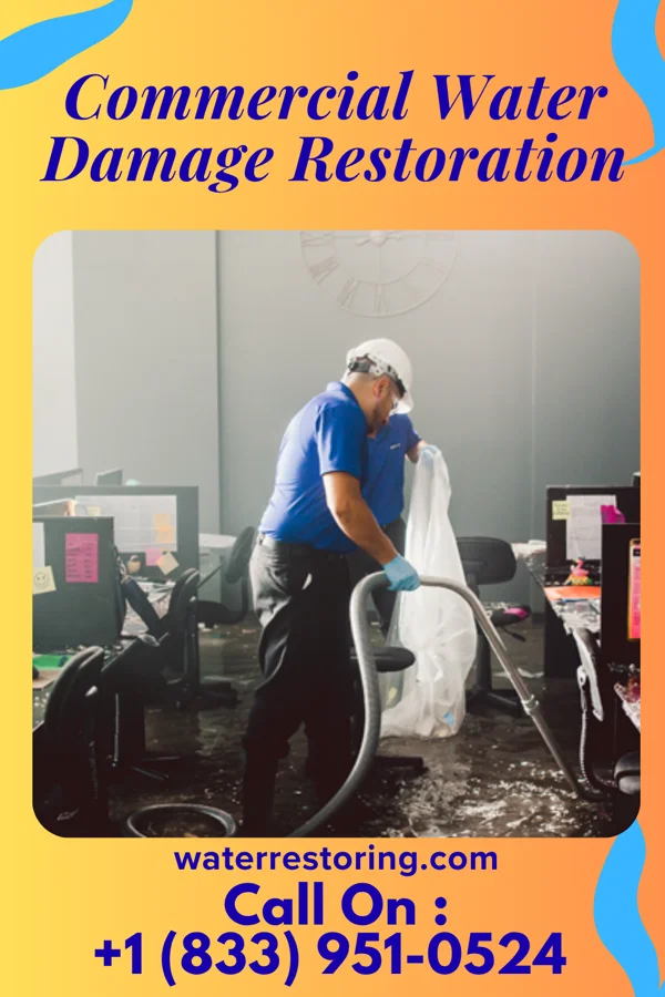 Commercial Water Damage Restoration in Campbell, MN